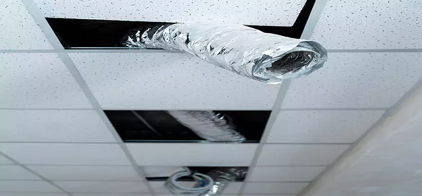 Our Air Duct Pet Hair Removal Services in Medford, OR