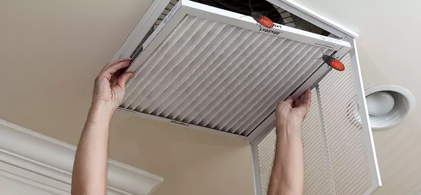 Our Insect Removal from Air Ducts Services in Medford, OR