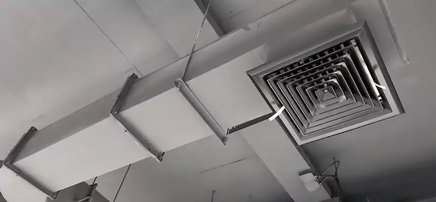 Our Pest Removal From Ducts Services in Medford, OR