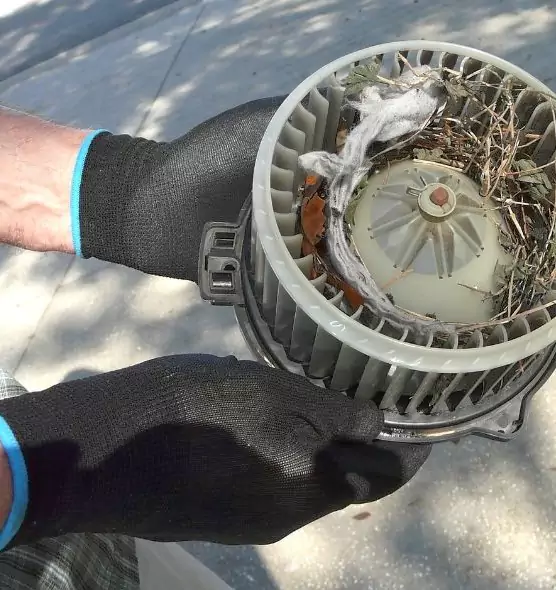 About Air Duct Rat Removal in Medford, OR